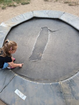 trapolini javornik 2025